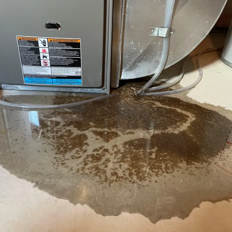 Appliance Leak Cleanup in Boles Acres, NM